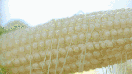 ΢ˮסHζٵĄ(chung)ǘ(bio)(zhn)Nֲ